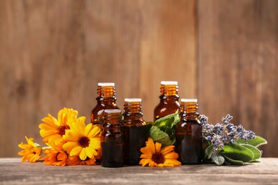 Bottles with essential oils, herbs and flowers on wooden table. Space for text