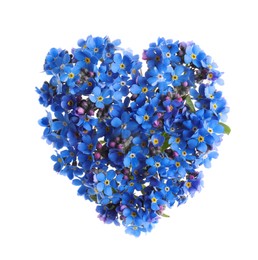 Photo of Heart made with blue Forget-me-not flowers isolated on white