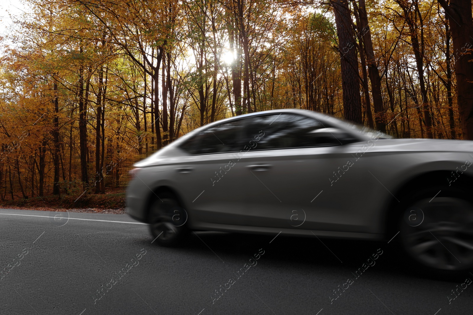 Photo of Modern car on asphalt road near autumn forest