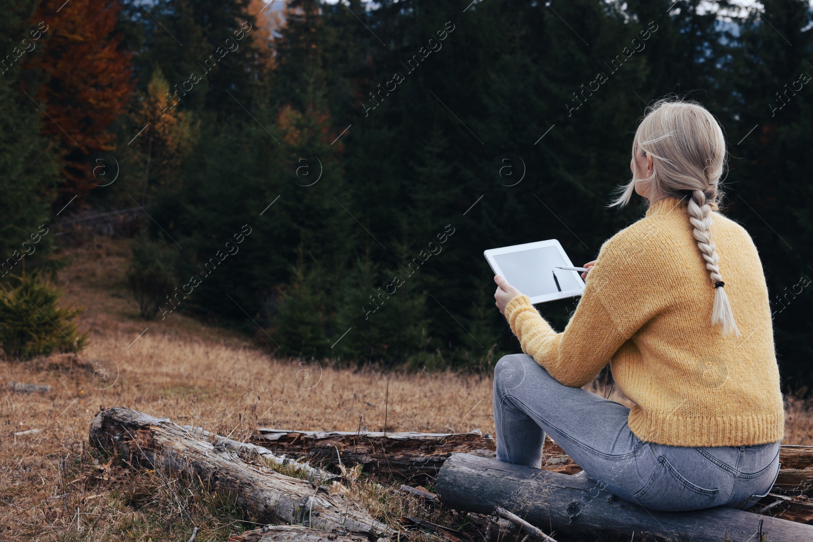 Photo of Young woman drawing with graphic tablet near forest in autumn