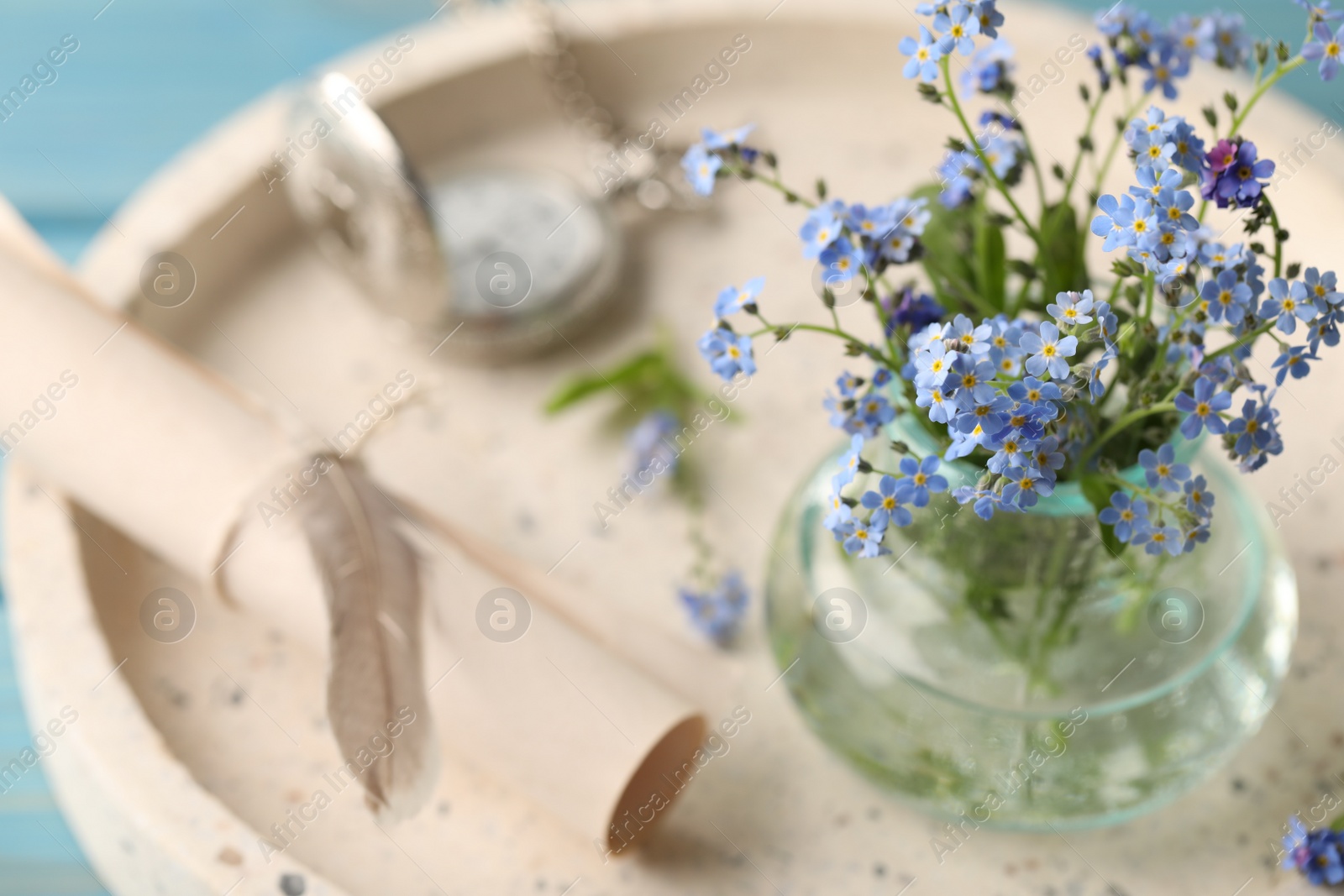 Photo of Beautiful Forget-me-not flowers in vase on tray, closeup