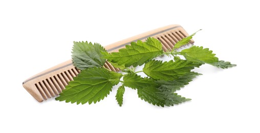 Photo of Stinging nettle and wooden comb on white background. Natural hair care
