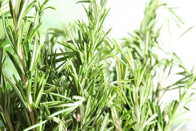 Branches of fresh rosemary on blurred green background, space for text