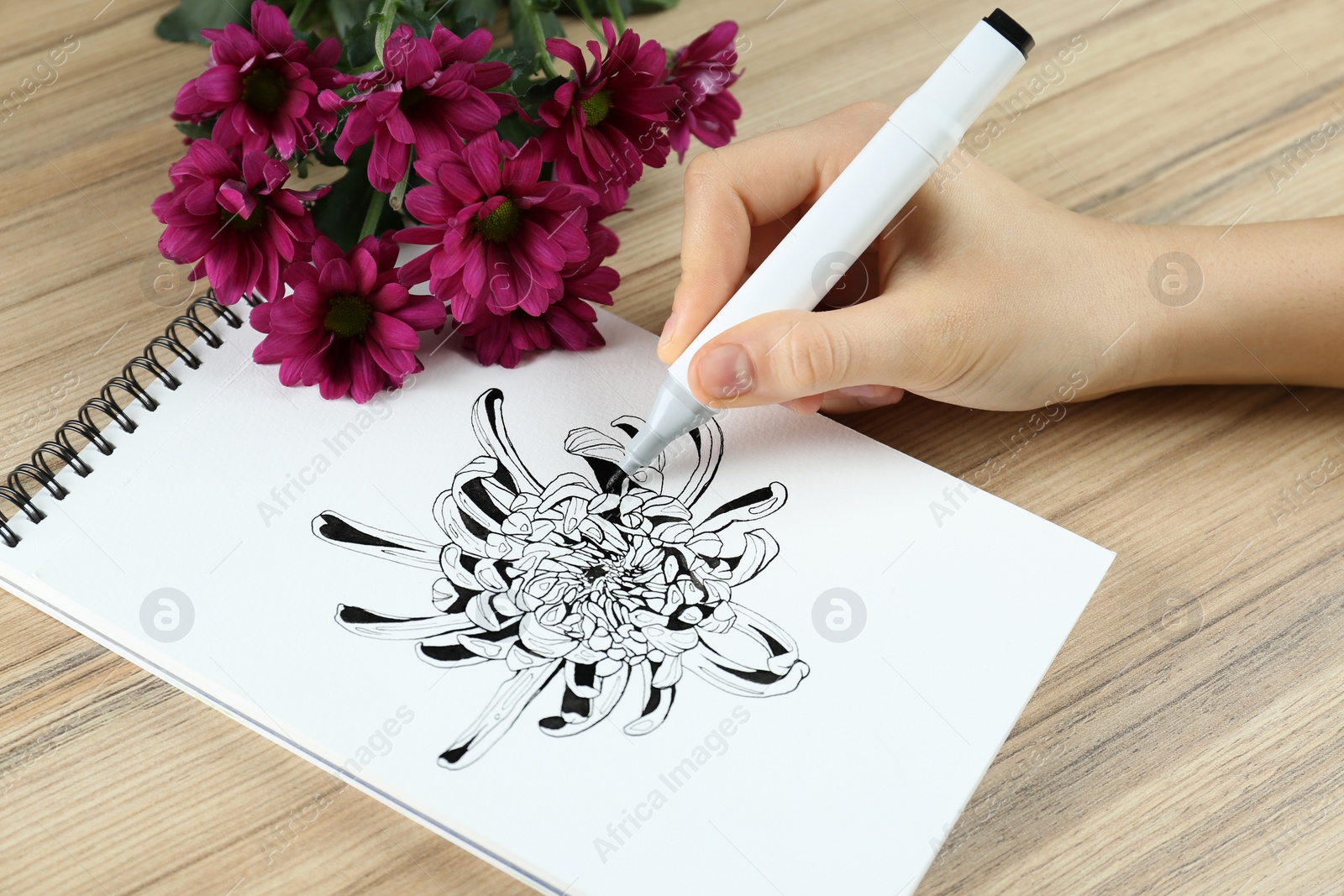 Photo of Woman drawing chrysanthemum in sketchbook and flowers at wooden table, closeup