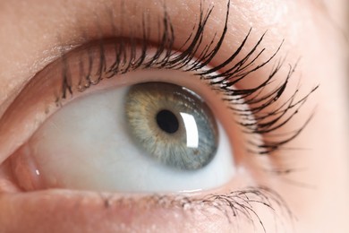 Photo of Macro photo of woman with beautiful eyes