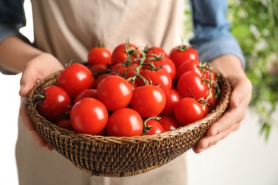 Photo of Woman holding wicker bowl with ripe cherry tomatoes, closeup