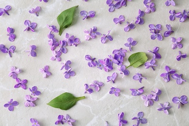 Flat lay composition with beautiful blossoming lilac on light background. Spring flowers