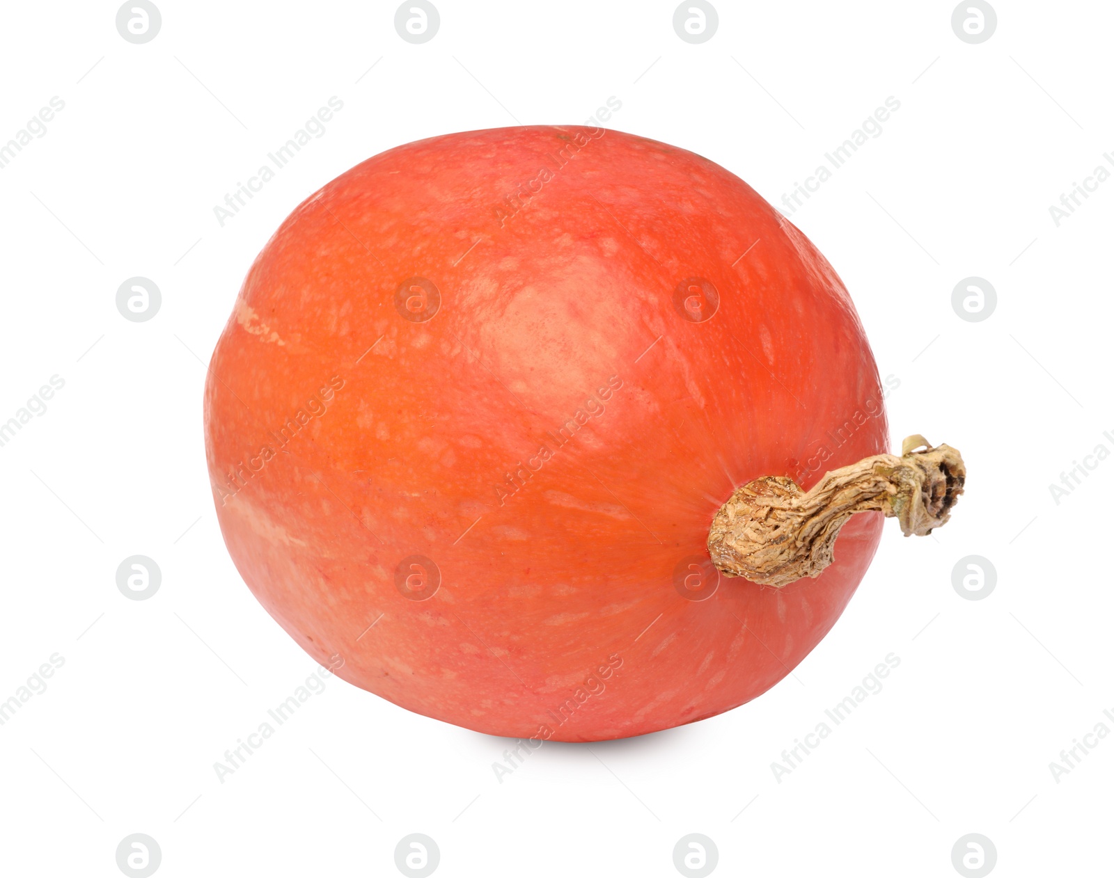 Photo of One fresh orange pumpkin isolated on white