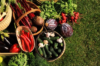 Different fresh ripe vegetables on green grass, flat lay