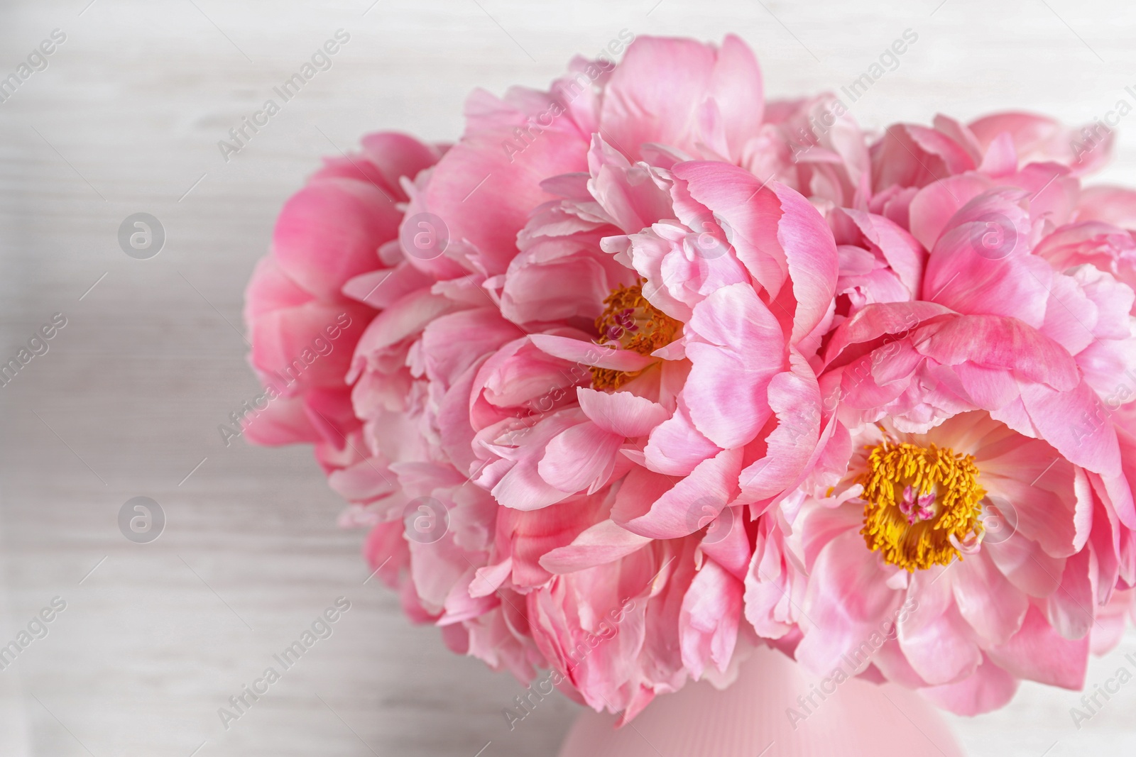 Photo of Beautiful bouquet of pink peonies in vase on white wooden background, closeup