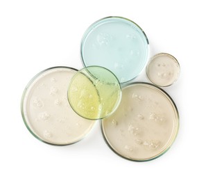 Petri dishes with different liquid samples on white background, top view