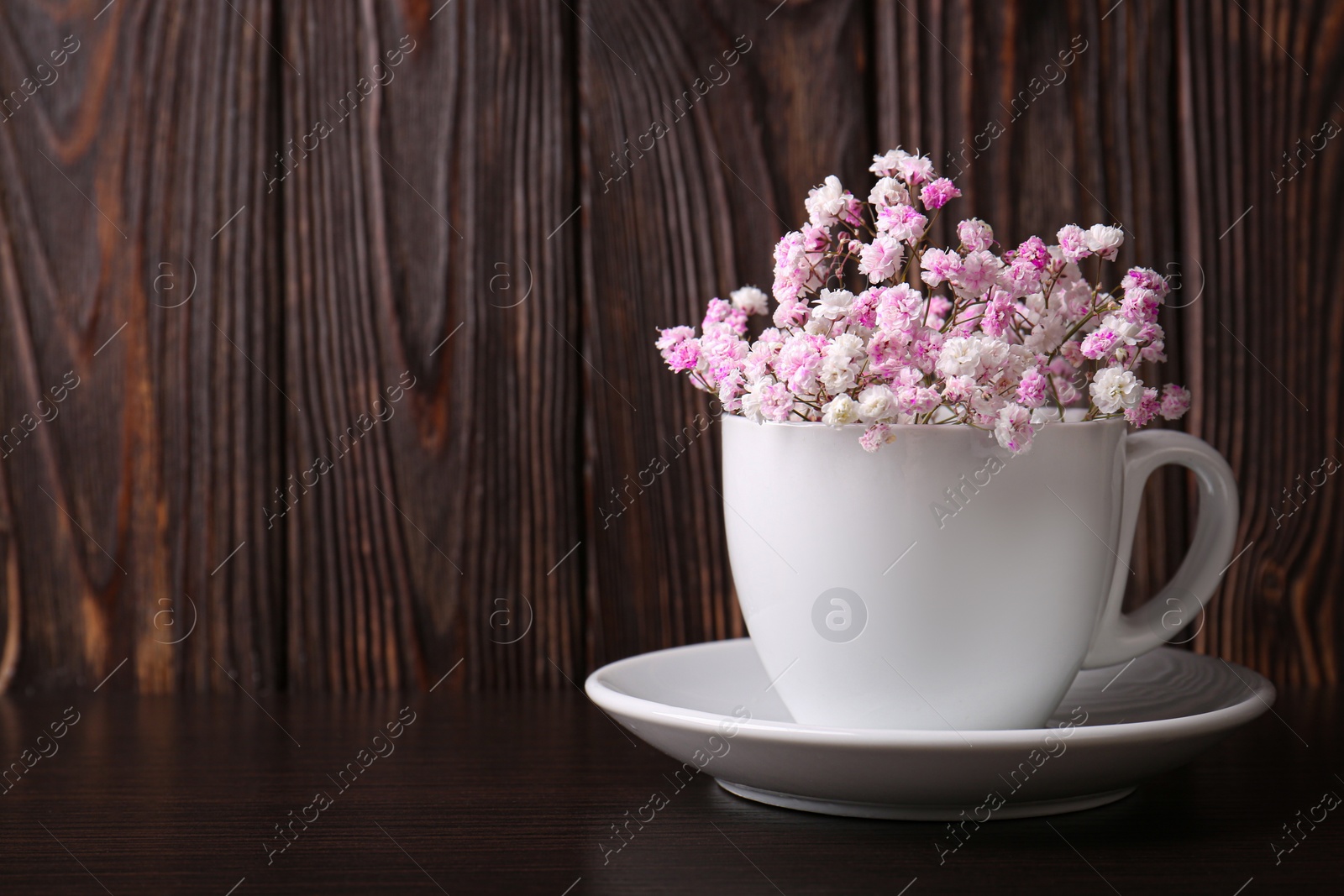 Photo of Beautiful dyed gypsophila flowers in white cup on wooden table. Space for text