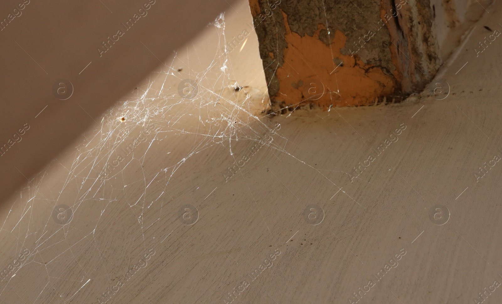 Photo of Cobweb on beige wall outdoors, low angle view. Space for text