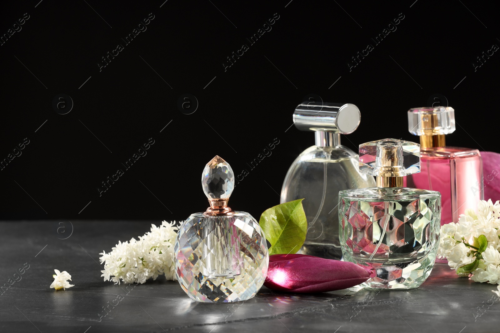 Photo of Luxury perfumes and floral decor on grey table against black background. Space for text