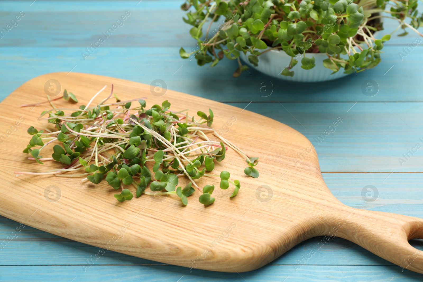 Photo of Board with cut fresh radish microgreens on light blue wooden table