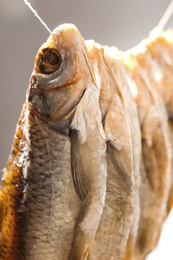 Photo of Dried fish hanging on rope, closeup view