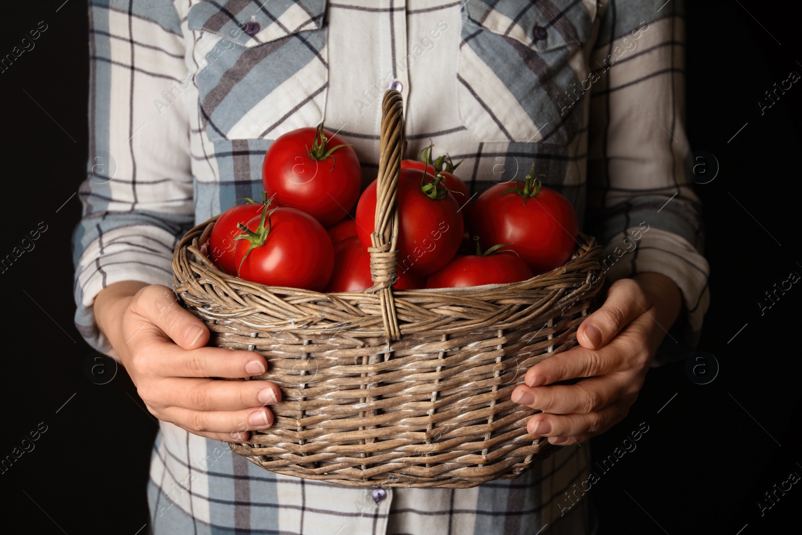 Photo of Woman with basket of ripe tomatoes on black background, closeup