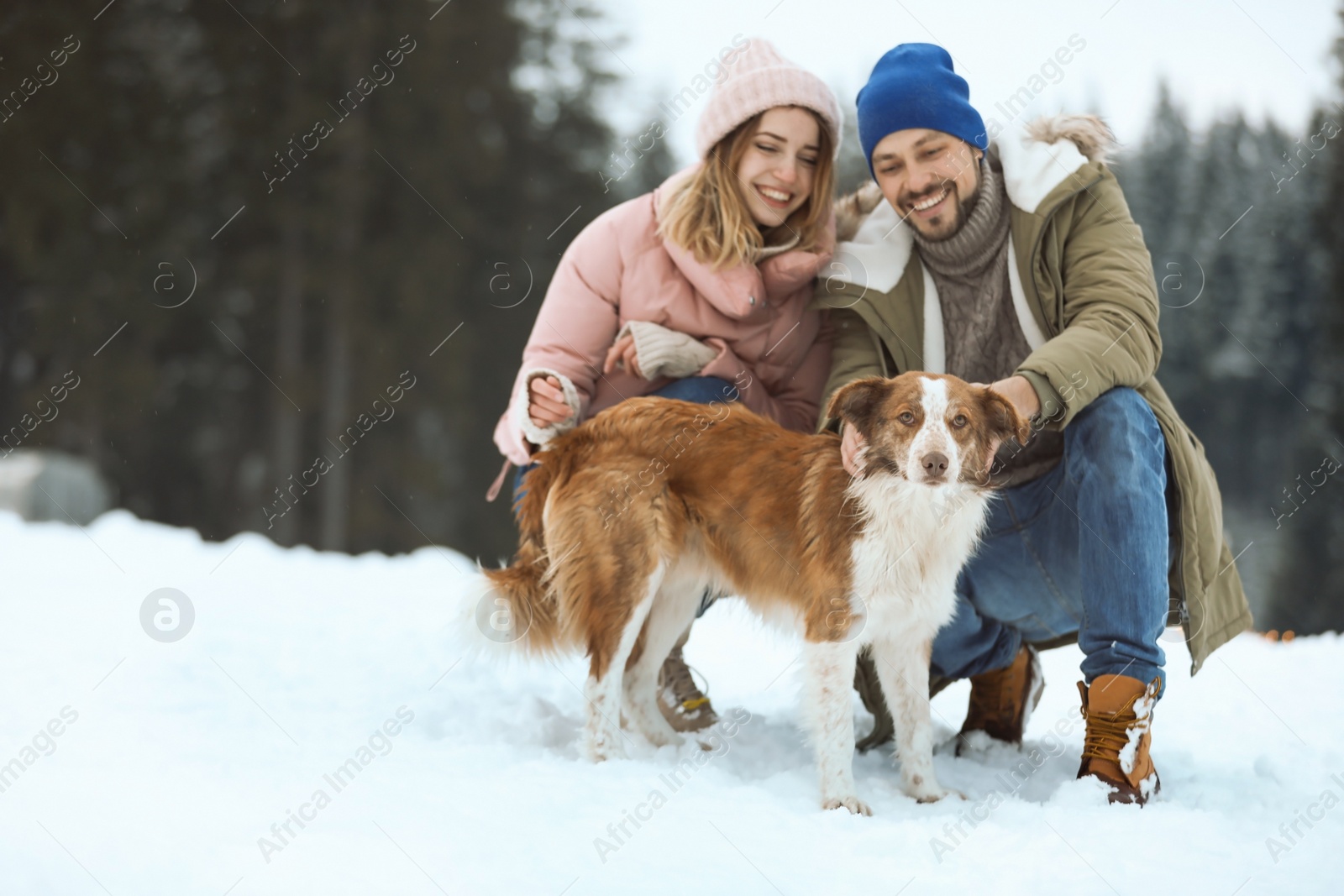 Photo of Cute couple with dog near forest. Winter vacation