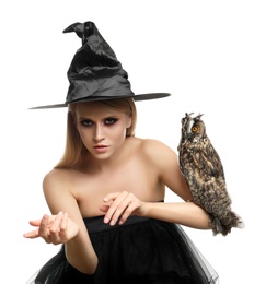 Photo of Witch in black hat with owl isolated on white. Scary fantasy character