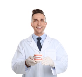Photo of Male dentist holding model of oral cavity with teeth on white background