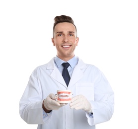 Male dentist holding model of oral cavity with teeth on white background