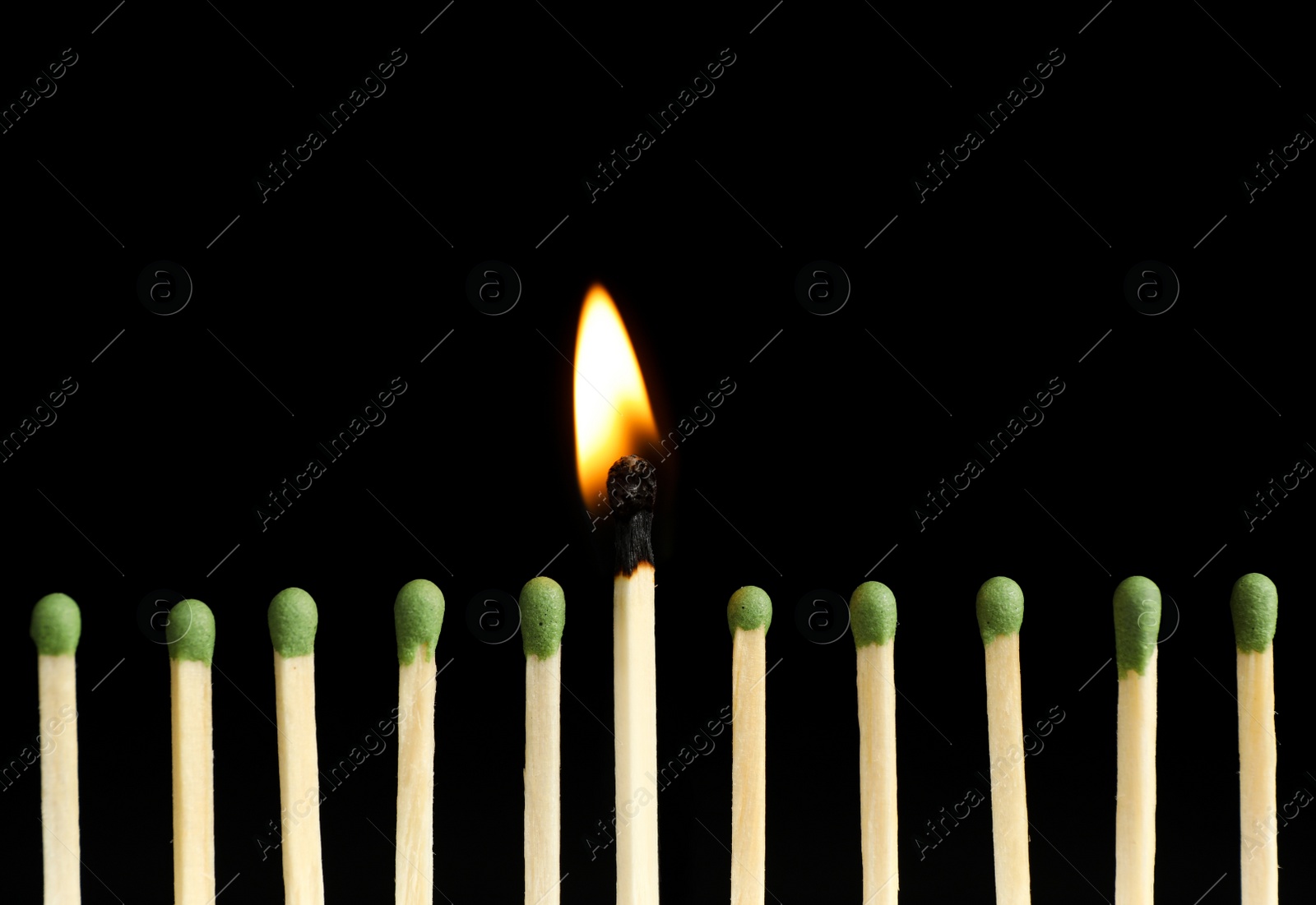 Photo of Burning match among unlit ones on black background, closeup