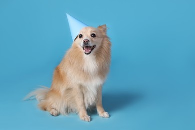 Cute dog with party hat on light blue background, space for text. Birthday celebration