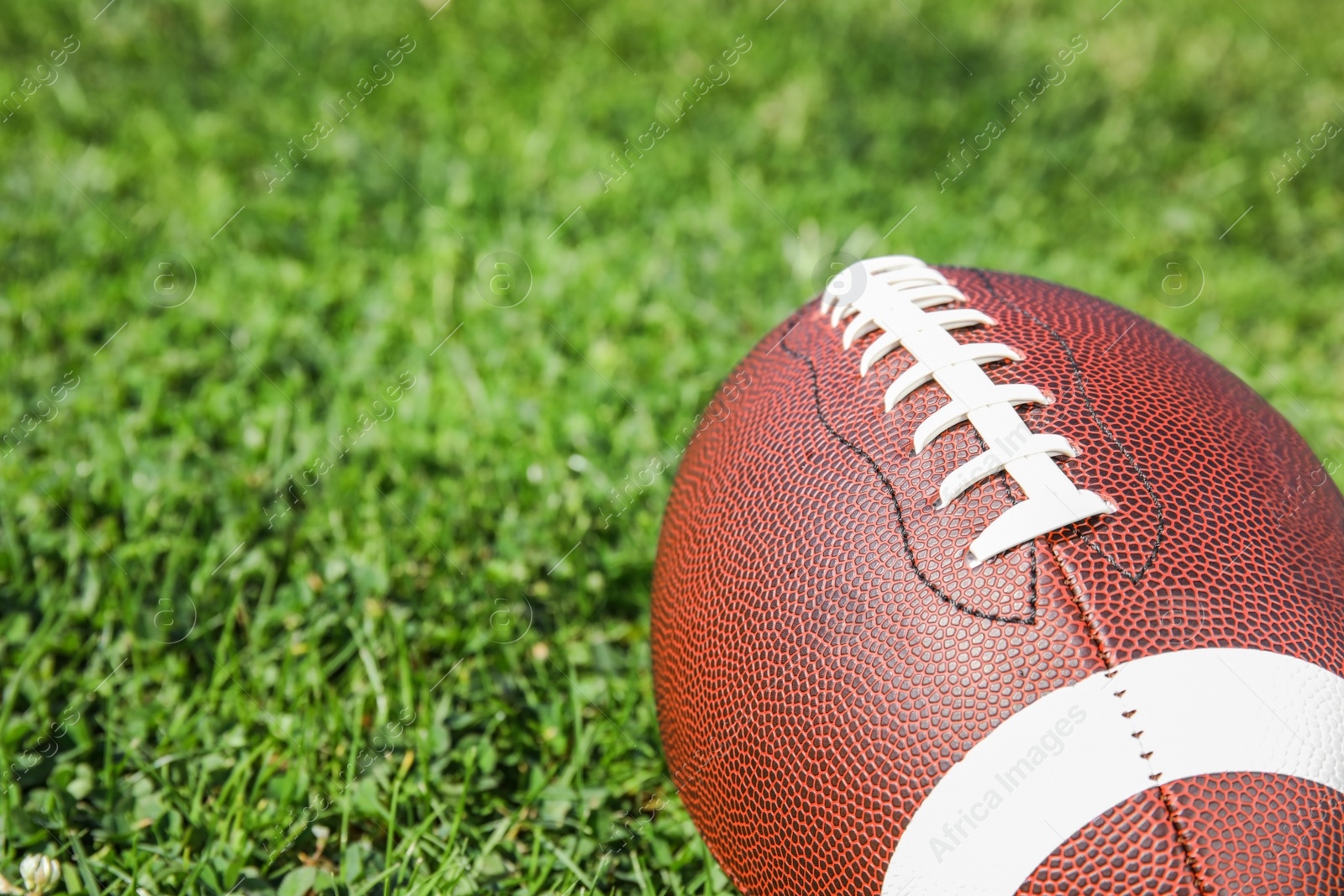 Photo of Ball for American football on fresh green field grass, closeup. Space for text