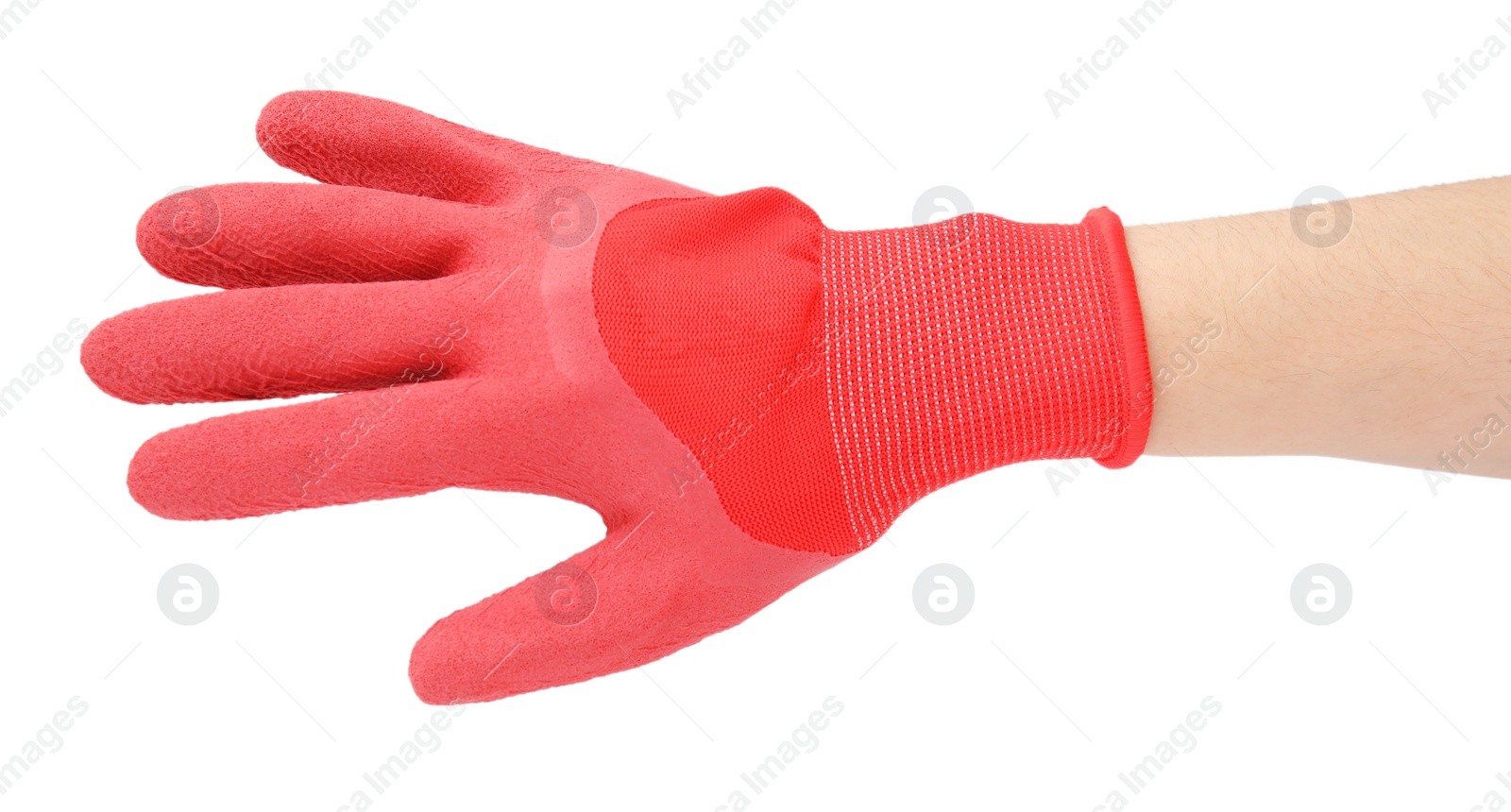 Photo of Woman in gardening glove on white background, closeup