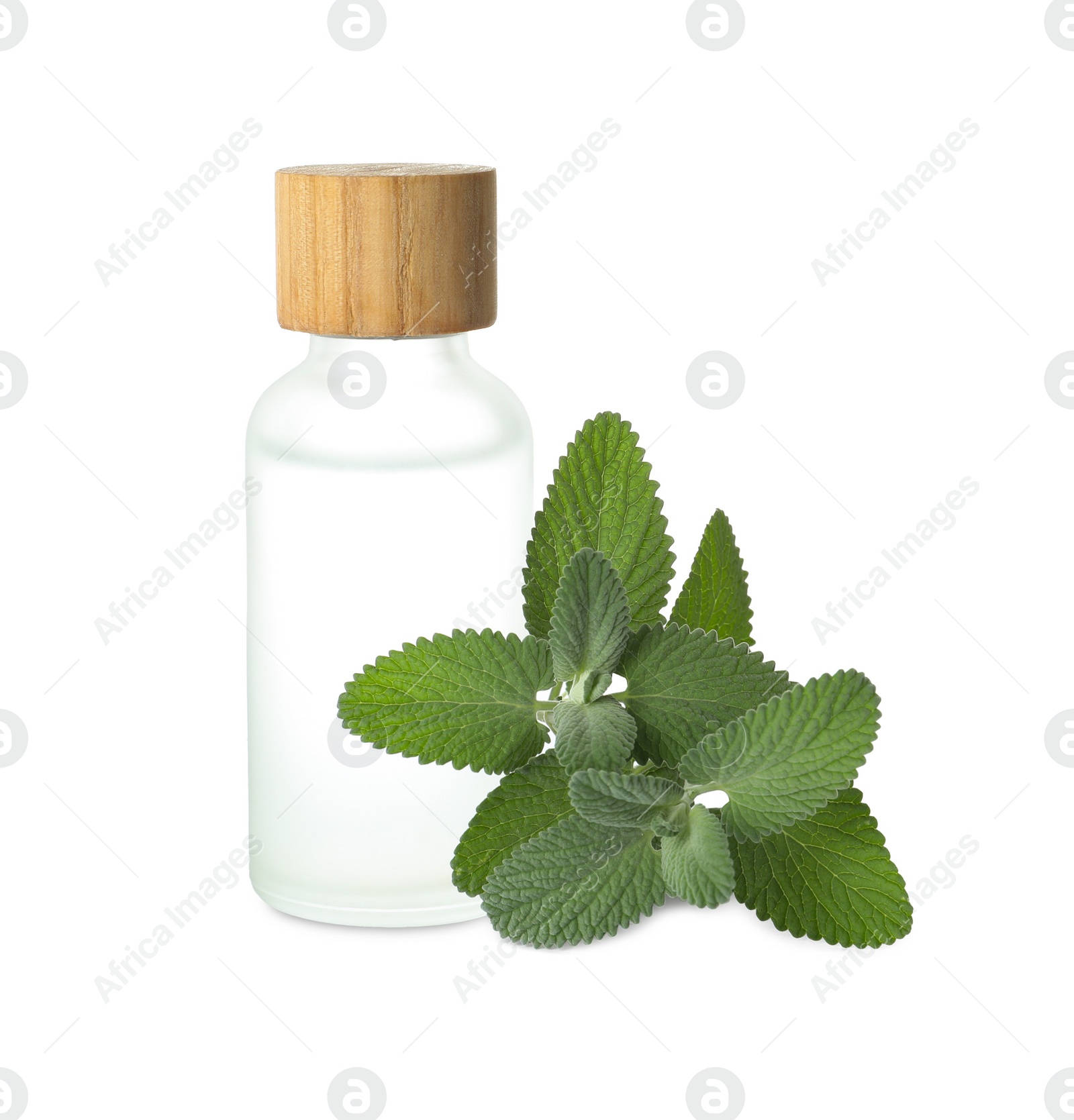 Photo of Bottle of essential oil and mint isolated on white