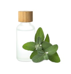 Photo of Bottle of essential oil and mint isolated on white