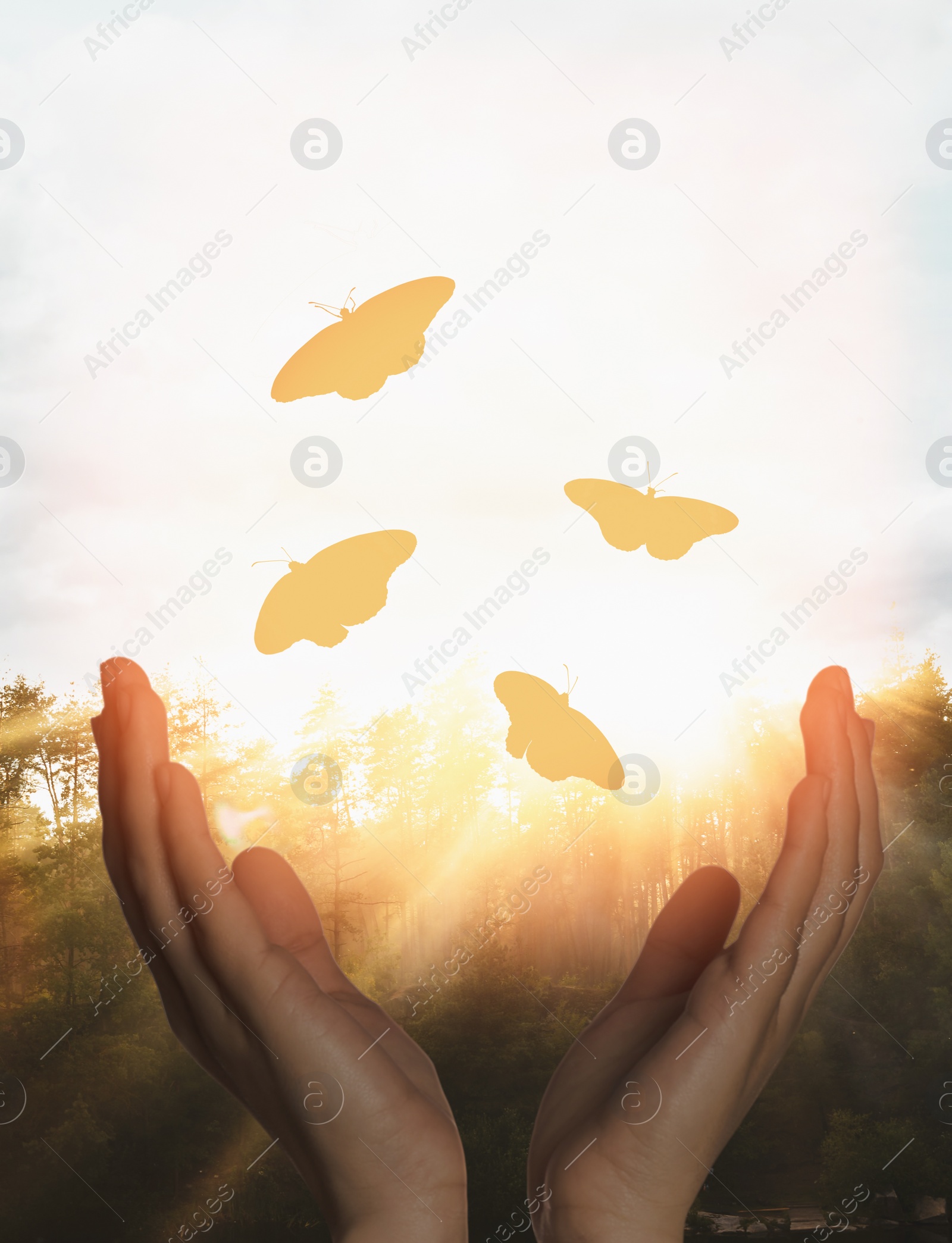 Image of Woman releasing butterflies in forest on sunny day, closeup. Freedom concept