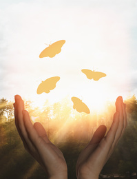 Image of Woman releasing butterflies in forest on sunny day, closeup. Freedom concept