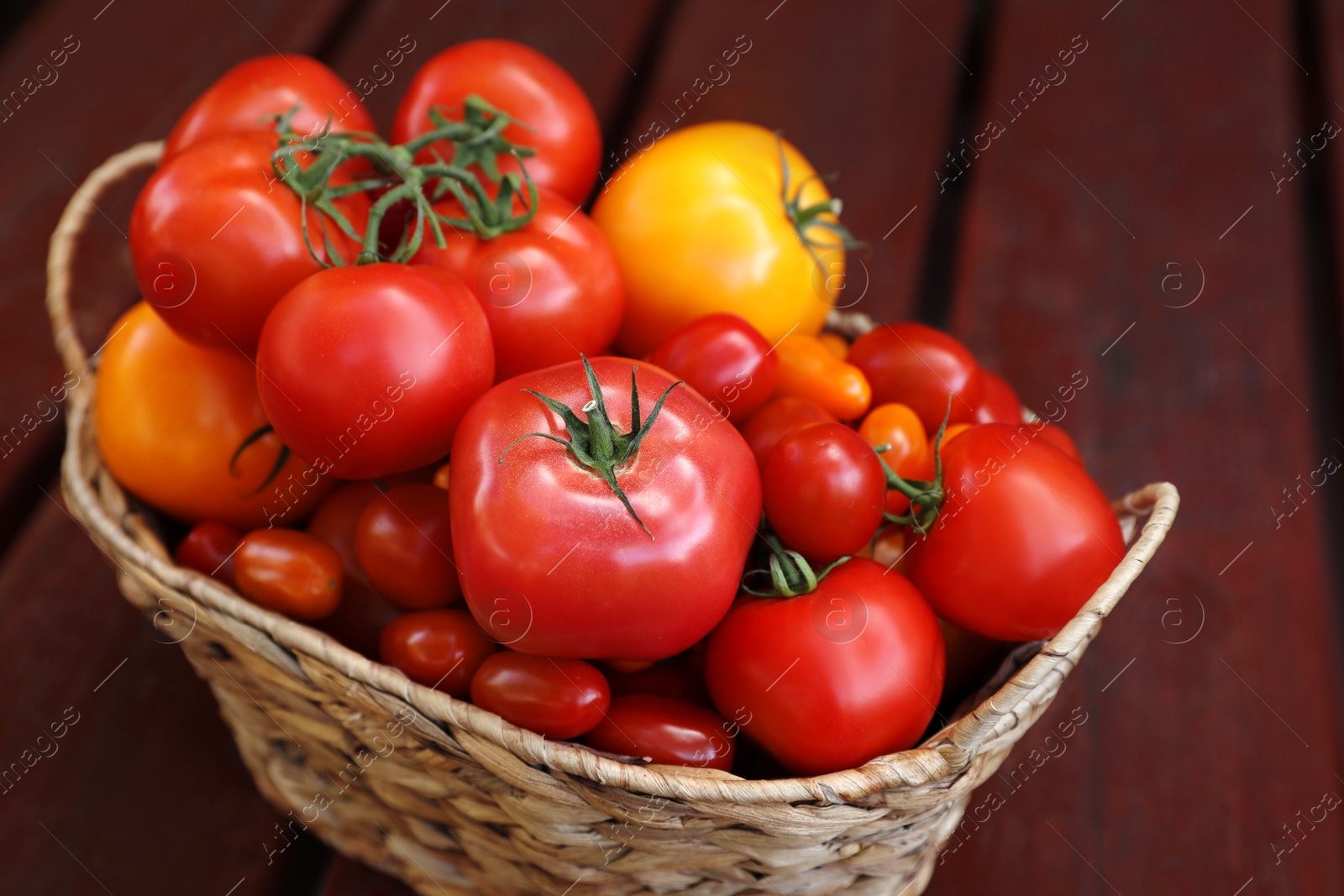 Photo of Wicker basket with fresh tomatoes on wooden table, closeup