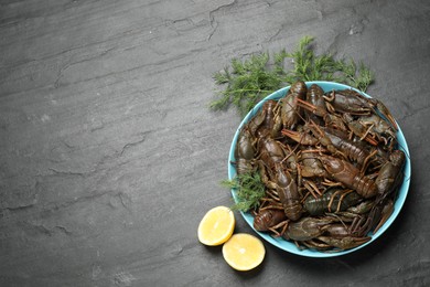 Photo of Fresh raw crayfishes with dill and lemon on black table, flat lay. Space for text