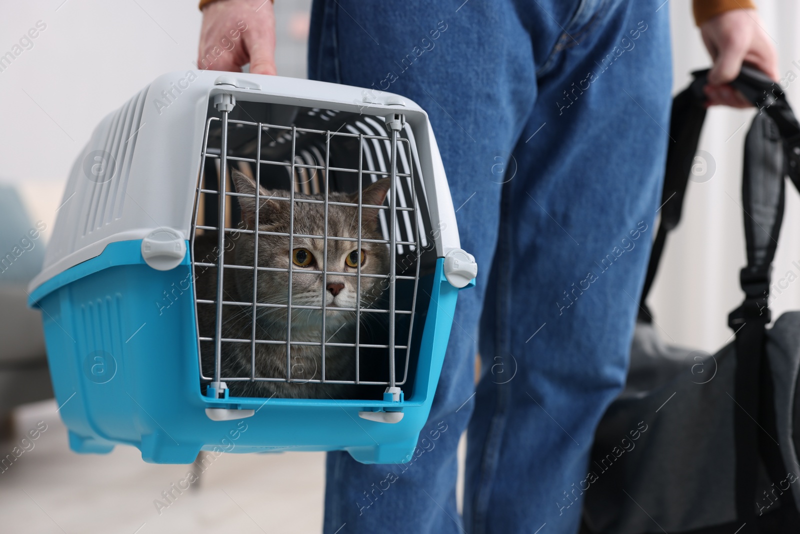 Photo of Travel with pet. Man holding carrier with cute cat and bag indoors, closeup