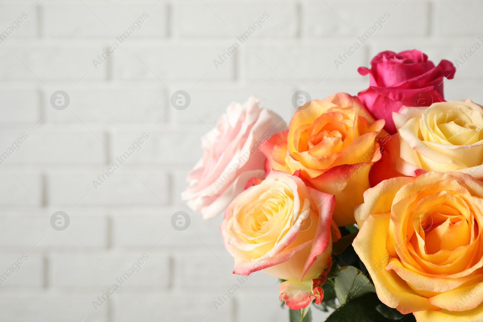 Photo of Luxury bouquet of fresh roses against white brick wall, closeup. Space for text