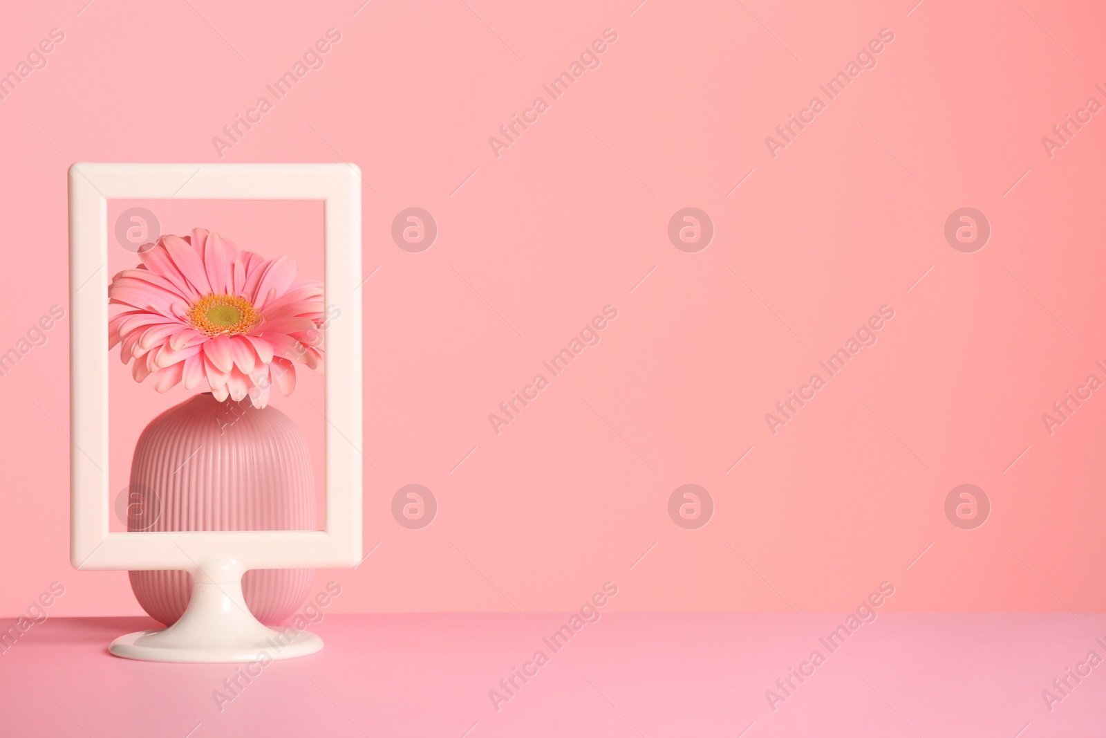 Photo of Vase with flower and photo frame on table against color background, space for text. International Women's Day