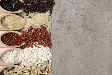 Scoops with different sorts of rice on grey table, flat lay. Space for text