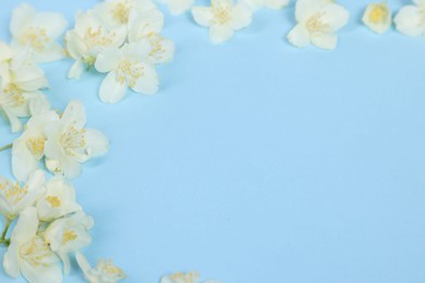 Beautiful jasmine flowers on light blue background, closeup. Space for text