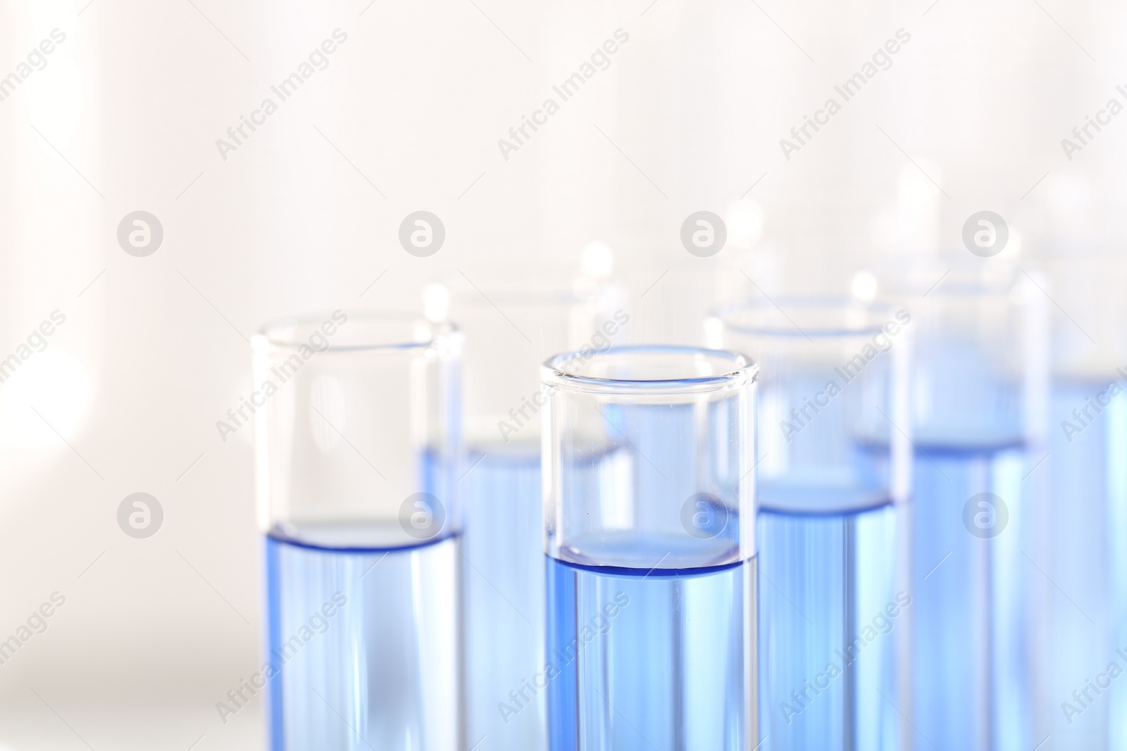 Photo of Laboratory analysis. Many glass test tubes with light blue liquid on blurred background, closeup