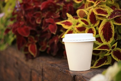 Photo of Cardboard cup with tasty coffee near beautiful flowers outdoors. Space for text