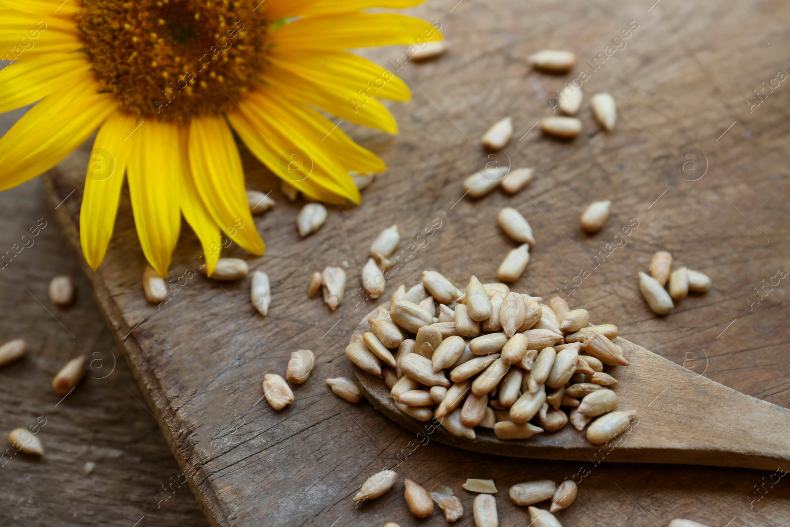 Photo of Sunflower seeds and flower on wooden table