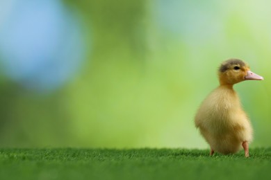Photo of Cute fluffy duckling on artificial grass against blurred background, space for text. Baby animal