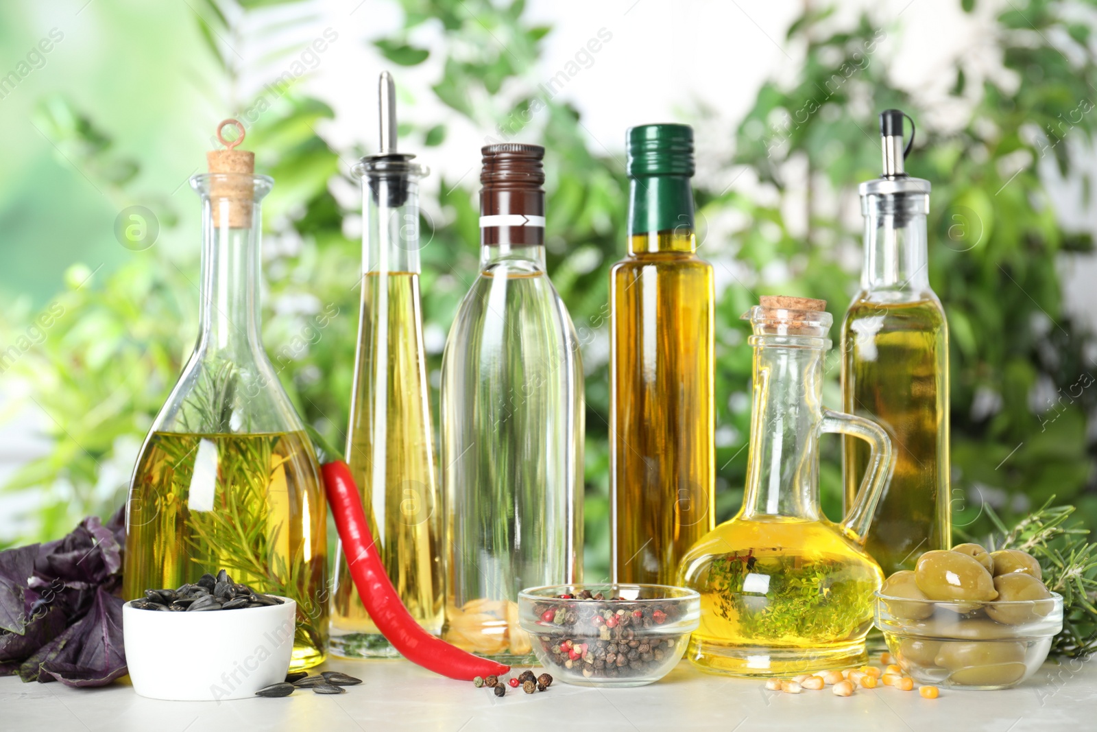 Photo of Different sorts of cooking oil in bottles and ingredients on light table