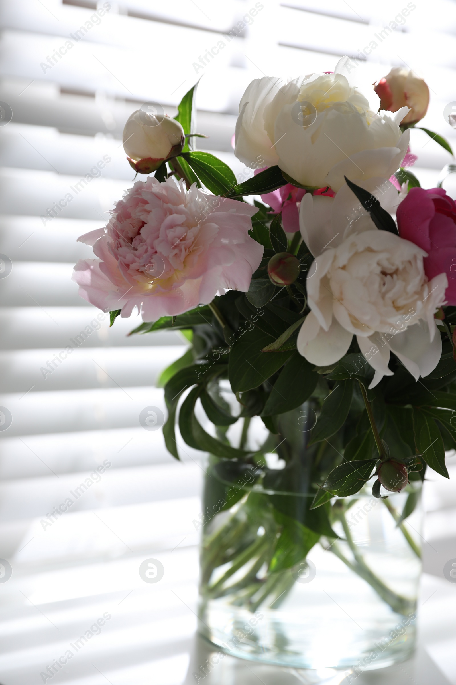 Photo of Beautiful peonies in vase on table near window indoors