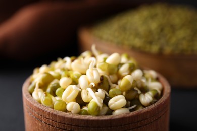 Photo of Wooden bowl with sprouted green mung beans, closeup