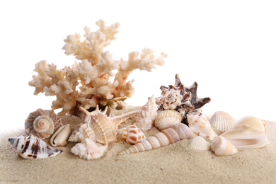 Photo of Beautiful exotic sea shells, coral and sand on white background