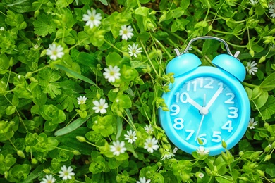 Alarm clock among flowers, outdoors. Time change concept