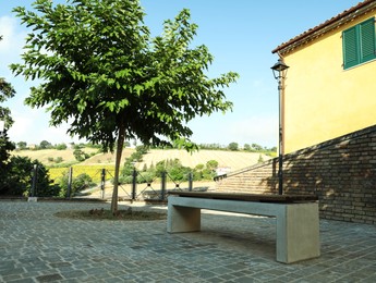 Paved city street with bench and tree on sunny day